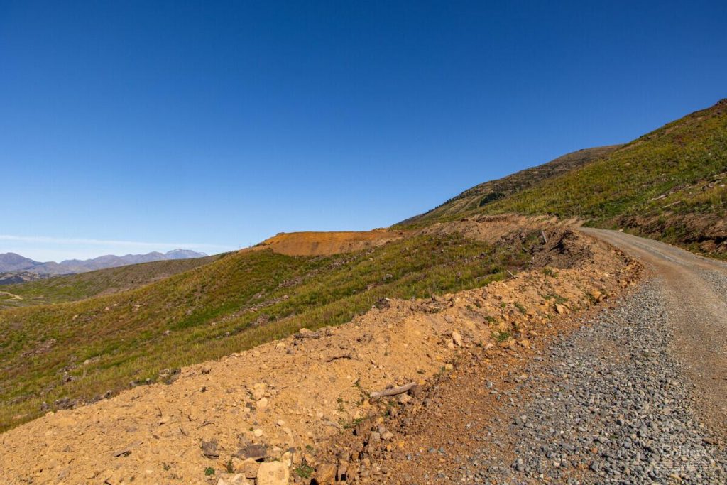 2210 Awatere Valley Road, Seddon, Marlborough Forestry Sales